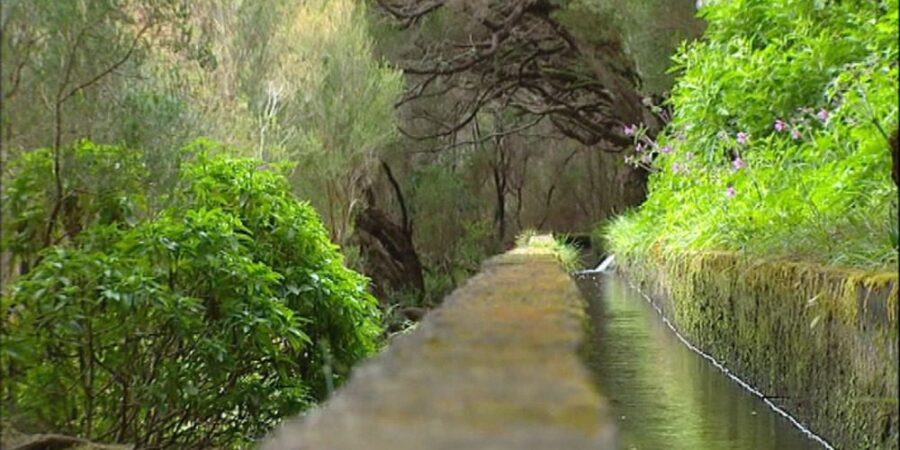 levadas-water-channels-Madeira-Island (1)